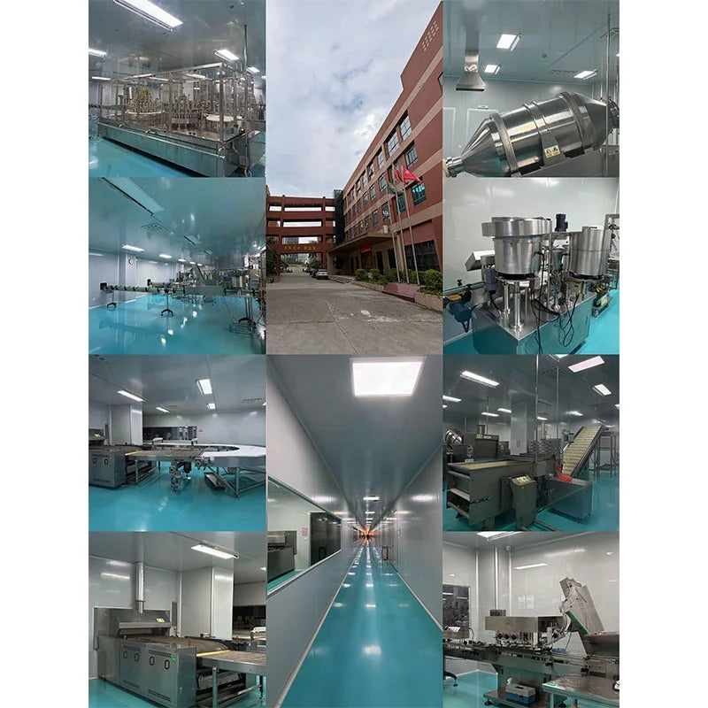 OEM Hot Selling Calm Magnesium Glycinate Electrolytes Powder Creatine Monohydrate Instant Stress Relief Adults Sports Nutrition